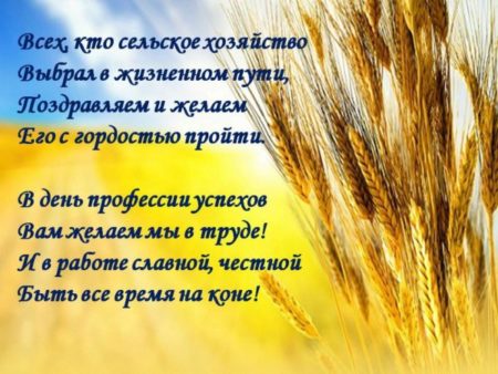 С днём работника сельского хозяйства — открытки, поздравления на 8 октября 2024