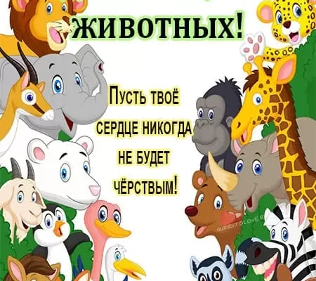 День животных — открытки, прикольные поздравления на 4 октября 2024