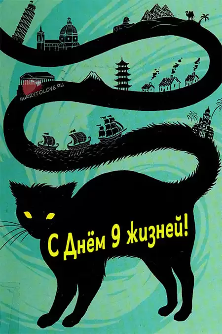 День девяти жизней — открытки прикольные с надписями, поздравления на 10 мая 2024