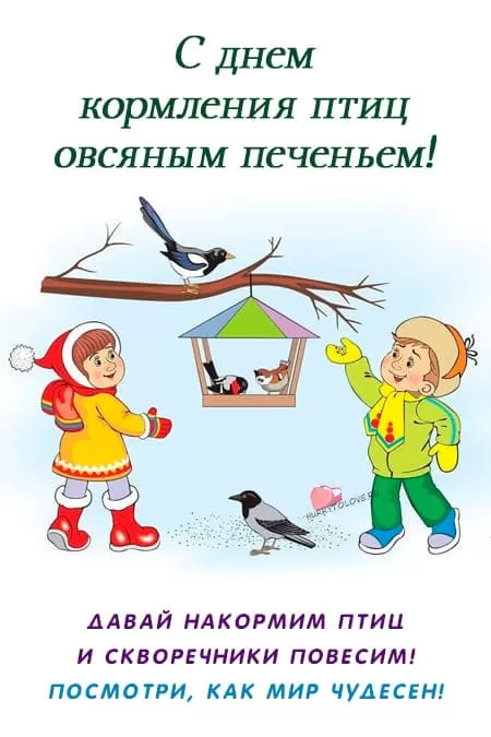 День кормления птиц овсяным печеньем — открытки прикольные на 2 ноября 2024