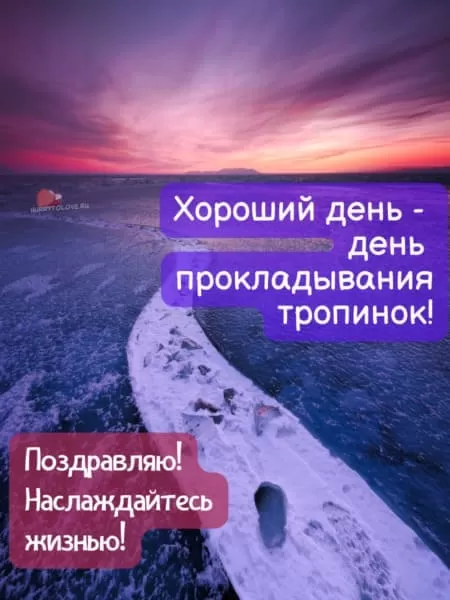 День прокладывания тропинок — открытки смешные с надписями на 12 февраля 2024