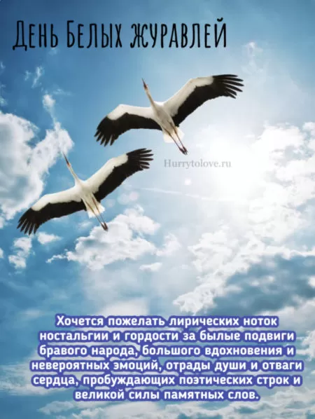 День белых журавлей — открытки, красивые поздравления на 22 октября 2024