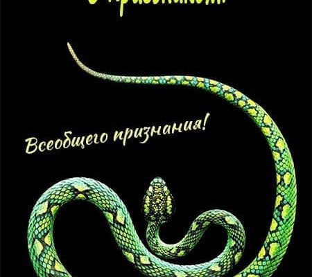 Всемирный день змеи — прикольные открытки с надписями на 16 июля 2024